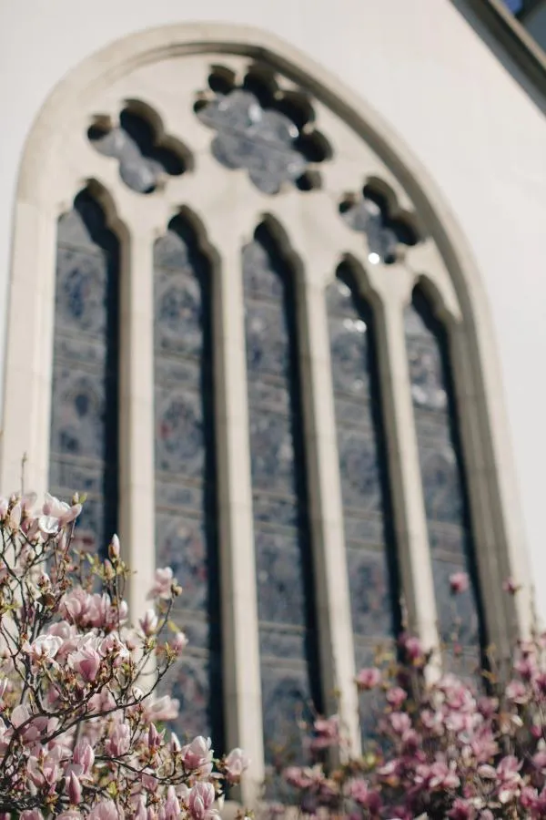 Slightly blurred exterior of church stained glass window with pink flowers in the foreground.